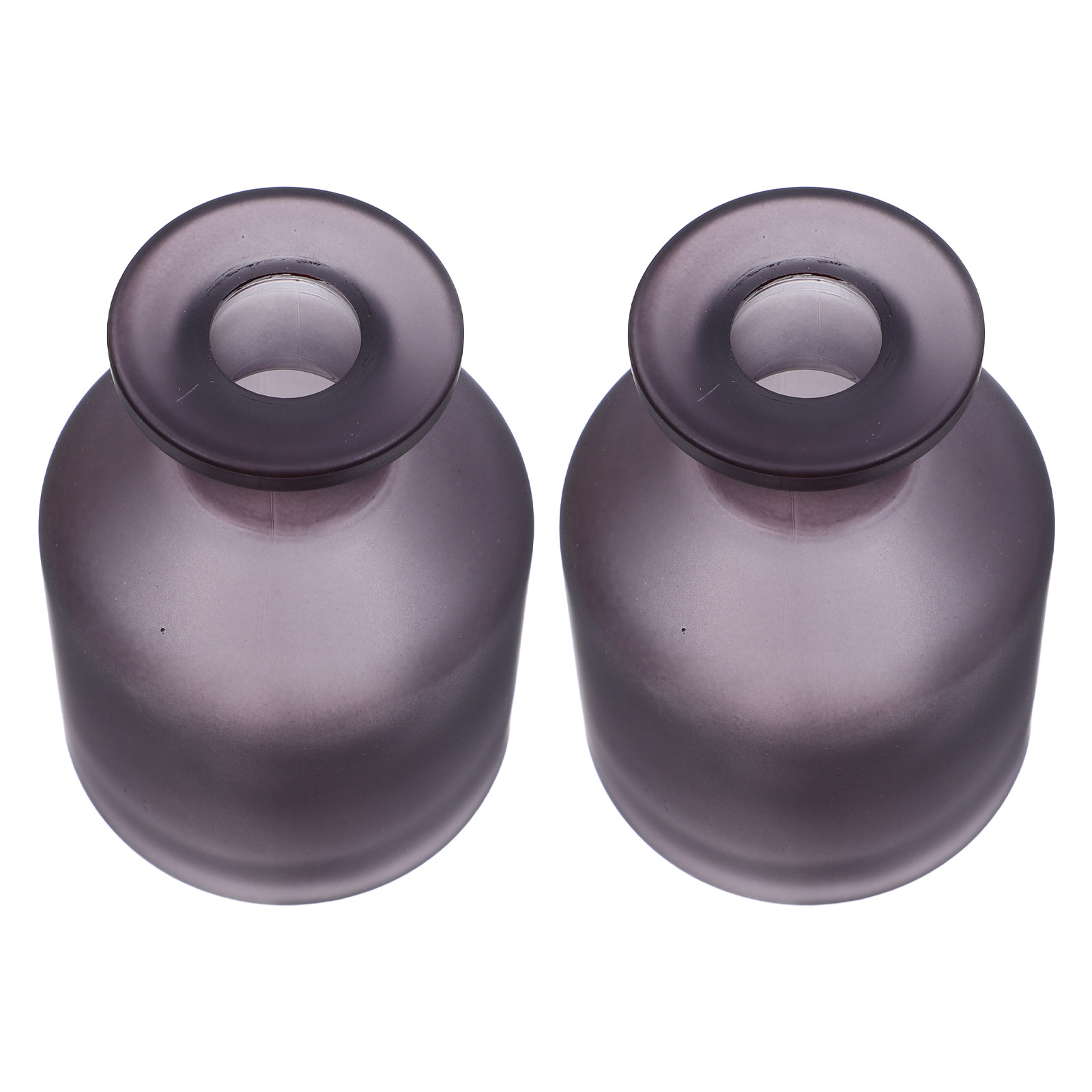 2Pcs Glass Diffuser Bottles Da - Reusable Bottle recension och pris